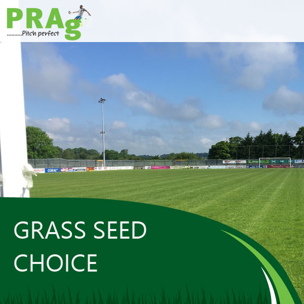 PRAg Pitch Doctors - Grass Seed Choice