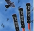 Skybird Bird Scaring Rockets