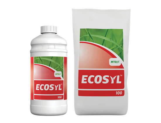 Picture of Ecosyl 100 (2ltr)