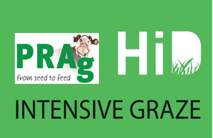 Picture of PRAg Hi-D Intensive Graze Grass Seed